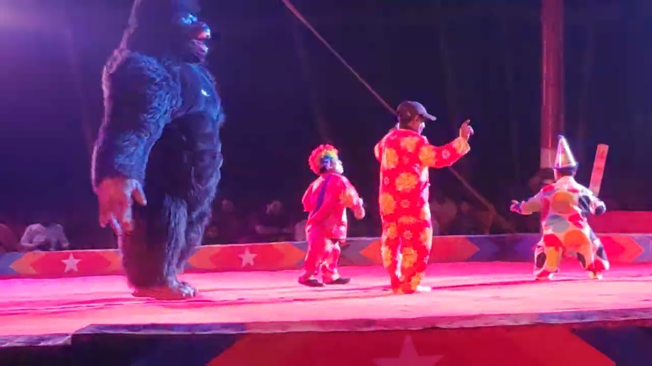 Gemini Circus banda episode 9