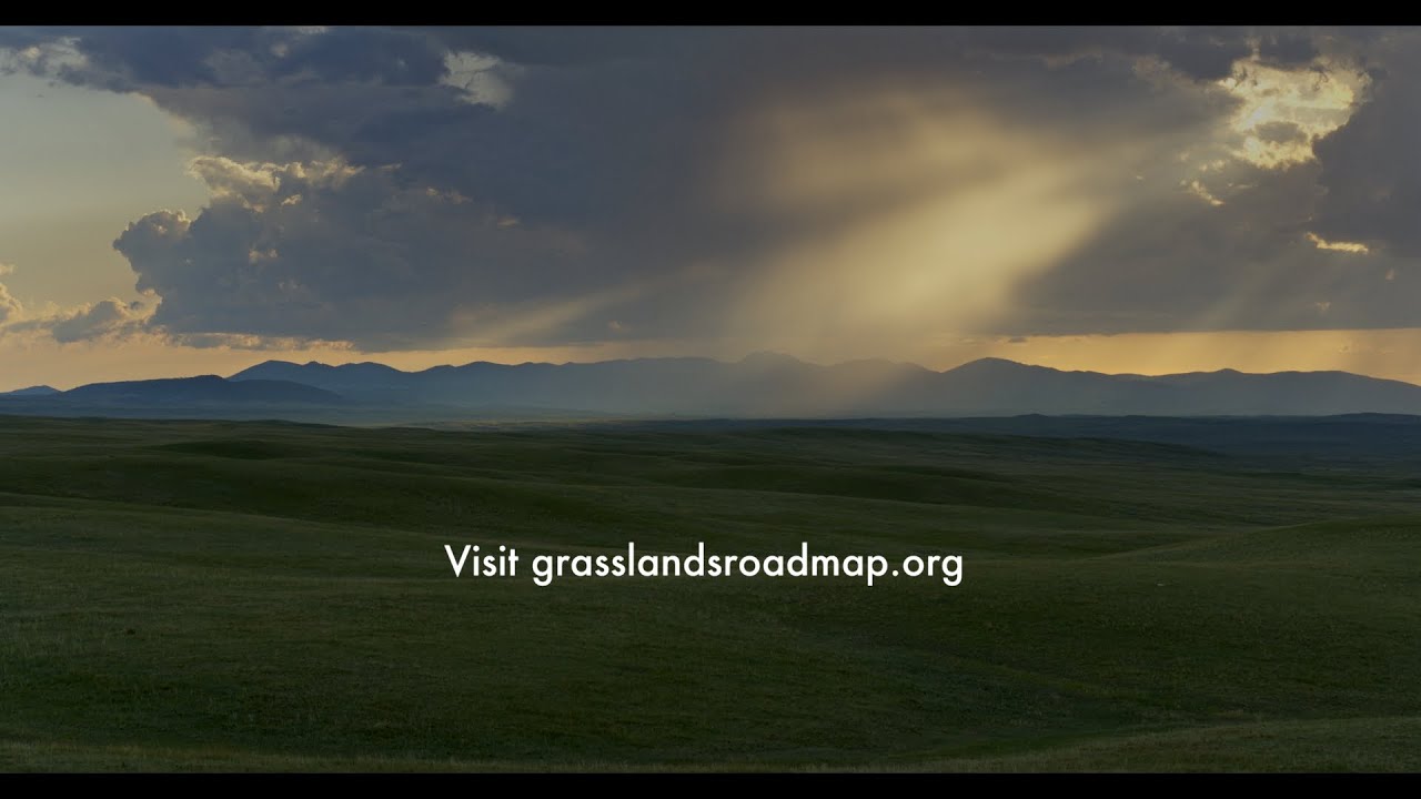The Central Grasslands &ndash; Backbone of North America