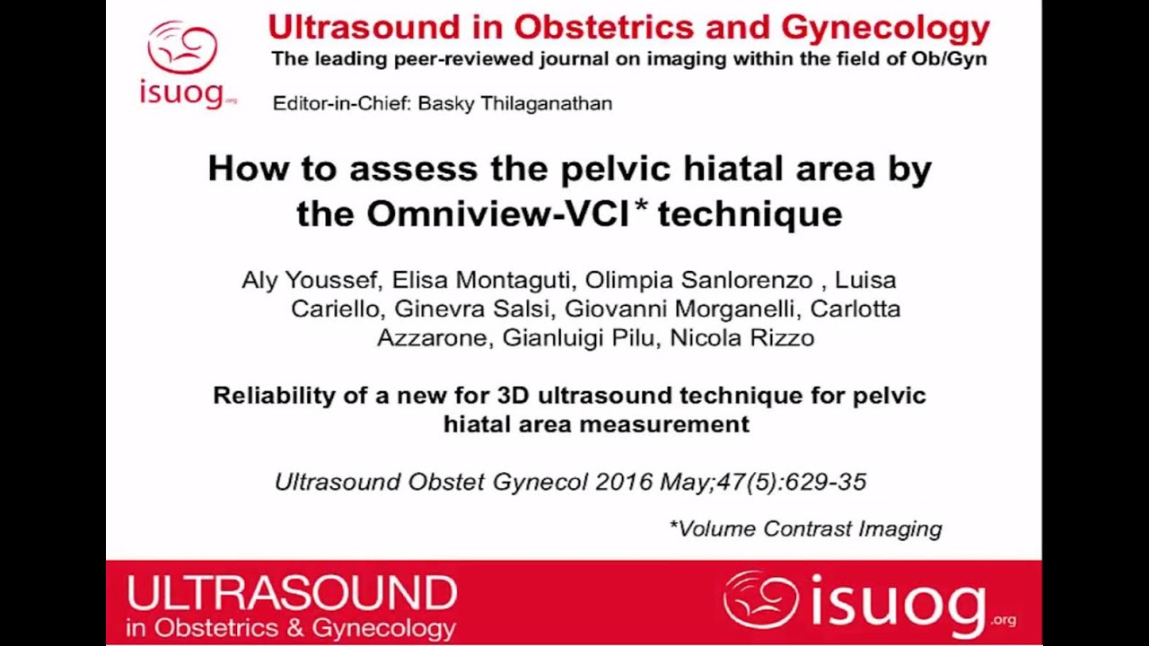 How to assess the pelvic hiatal area using a new 3D ultrasound technique