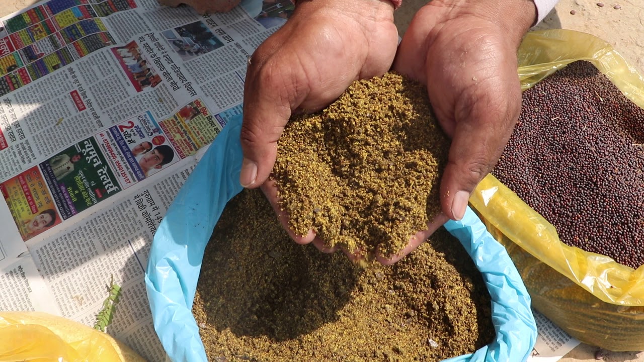 जैविक सूक्ष तत्व ,विटामिन ,मिनरल वास्टेडिकम्पोज़र से बनना#Liquid Waste decomposer#OWDC#DKC