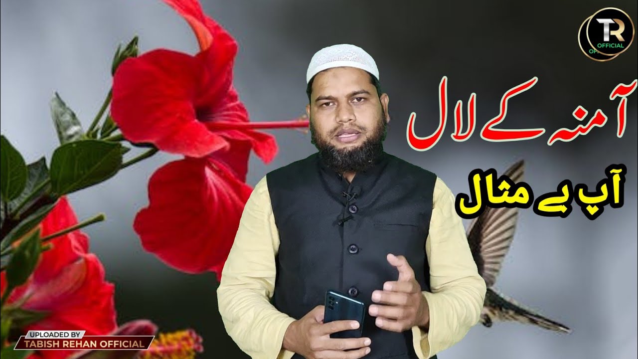 amena ke laal aap be misal ||naat e paak || tabish rehan