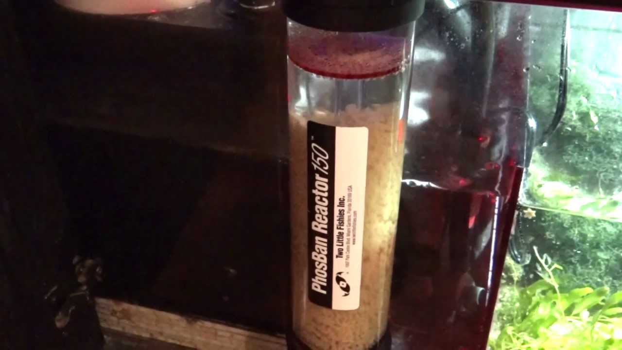 NPX Bioplastics - Phosban Biopellet Reactor & MaxiJet 1200 Pump