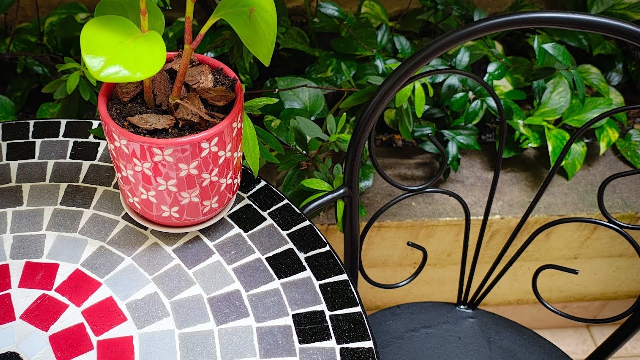 "Grey Joy" & "Mora" 60 cm de diámetro