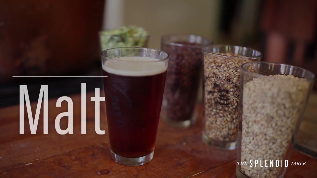 Seven Beer Categories and How to Pair Them