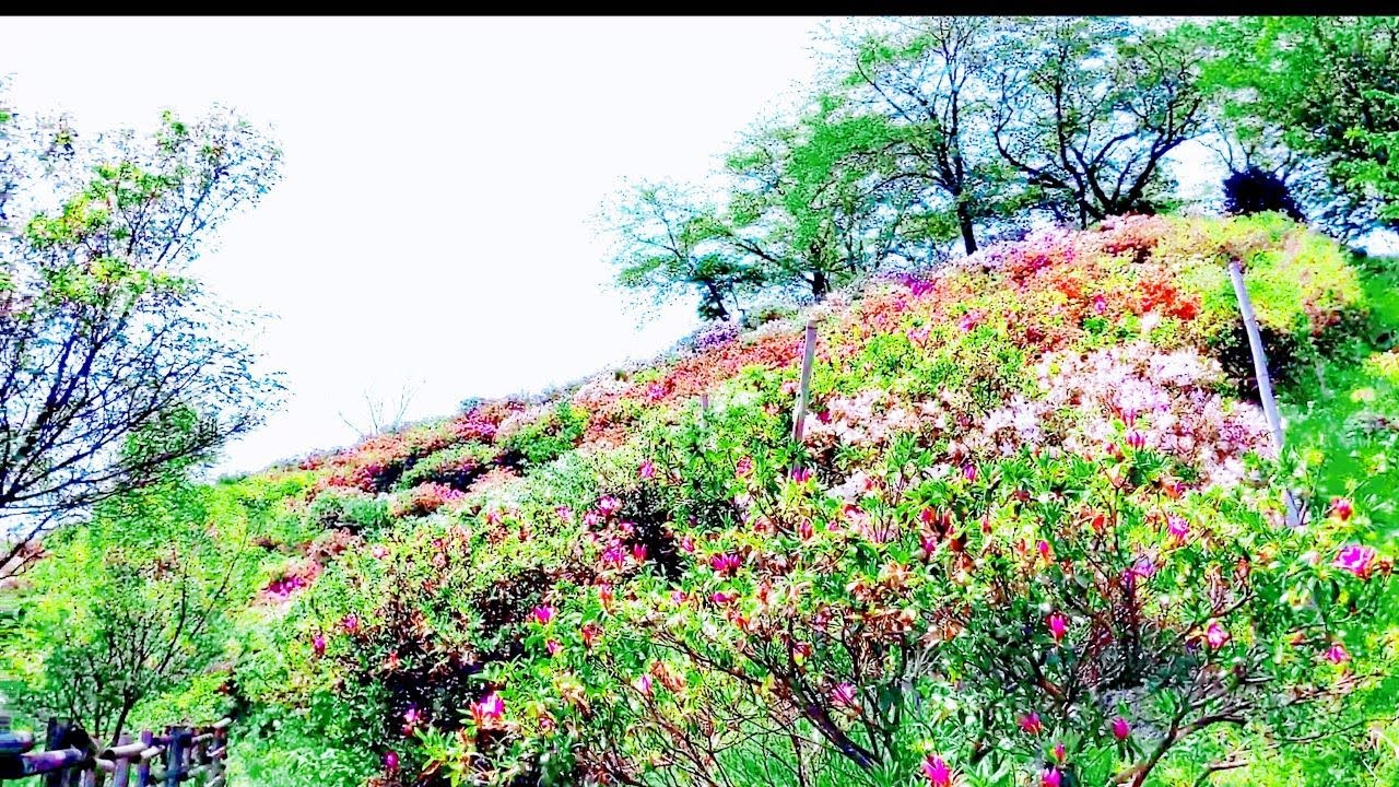 崇台山　やまなび V3