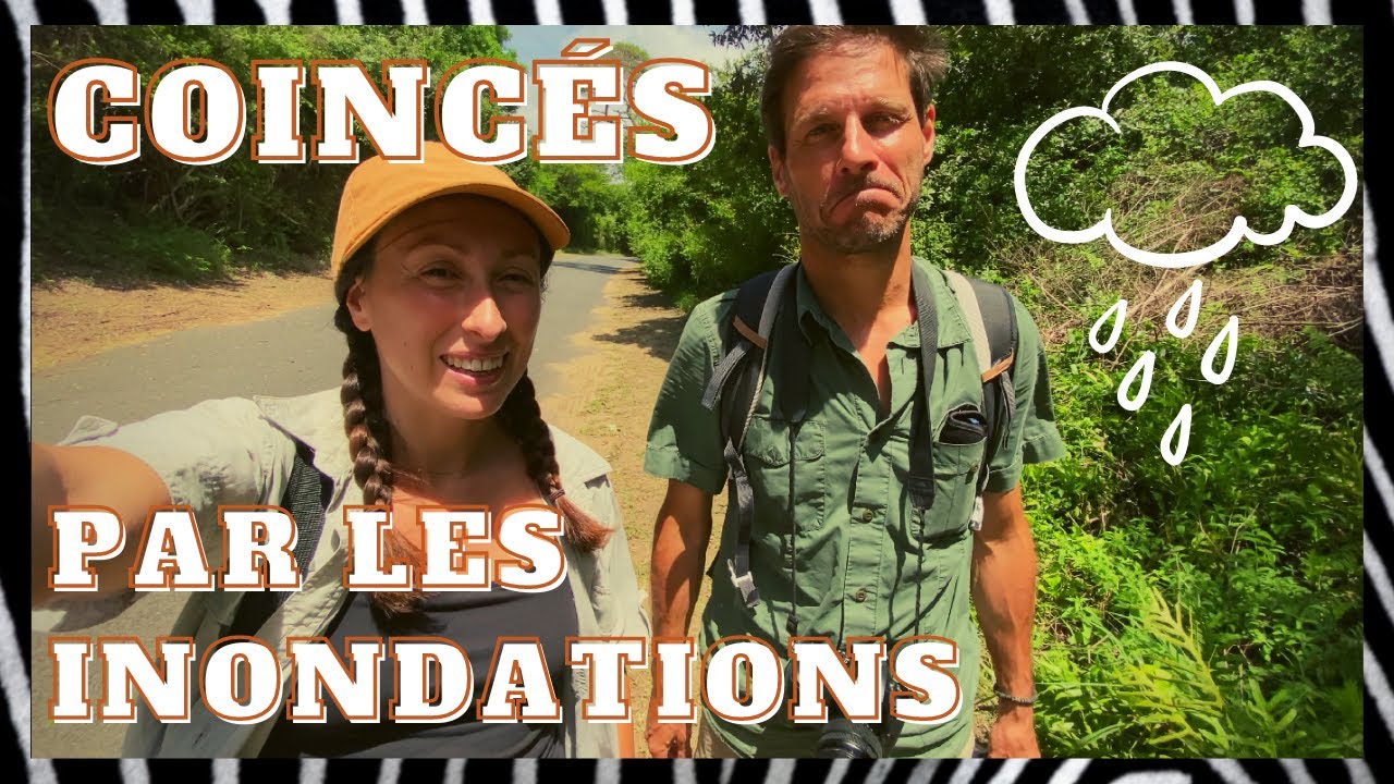 Folles bestioles en Afrique du Sud (Ép. 10): réserve Hluhluwe-Umfolozi et Sainte-Lucie