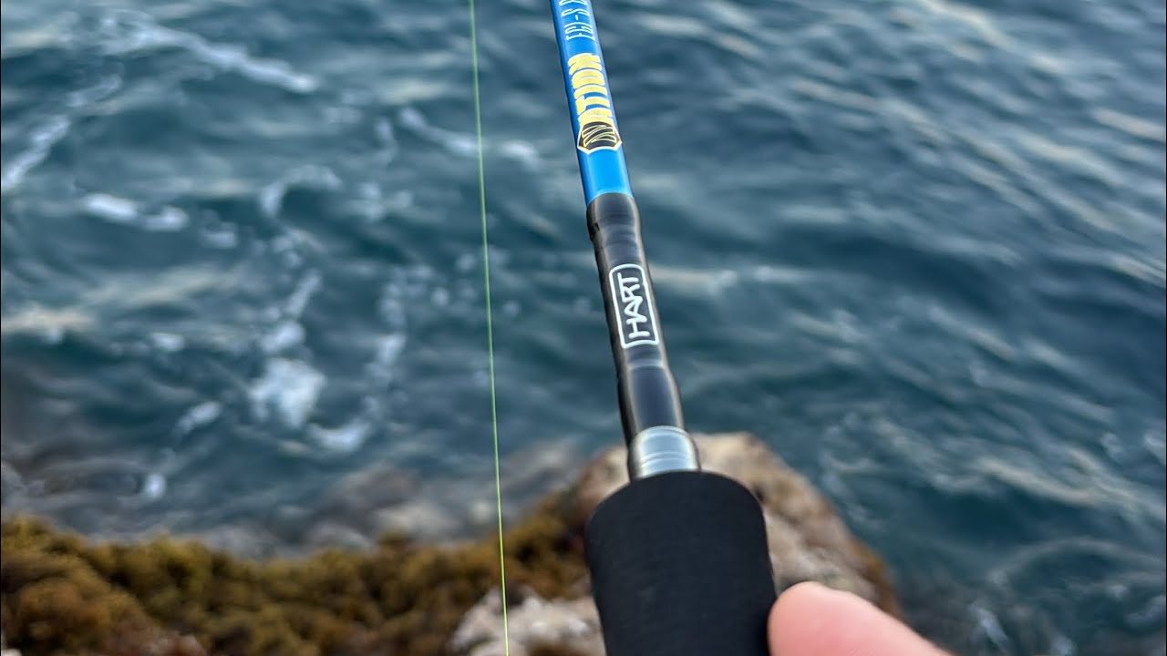 HART NATION EGI S-80