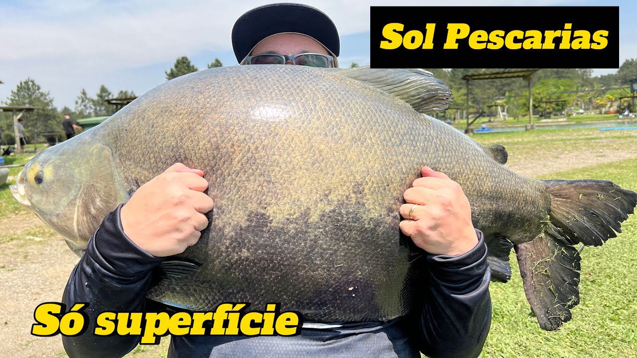 PRIMEIRA VEZ NO “SOL PESCARIAS” / SÓ TEM GIGANTES