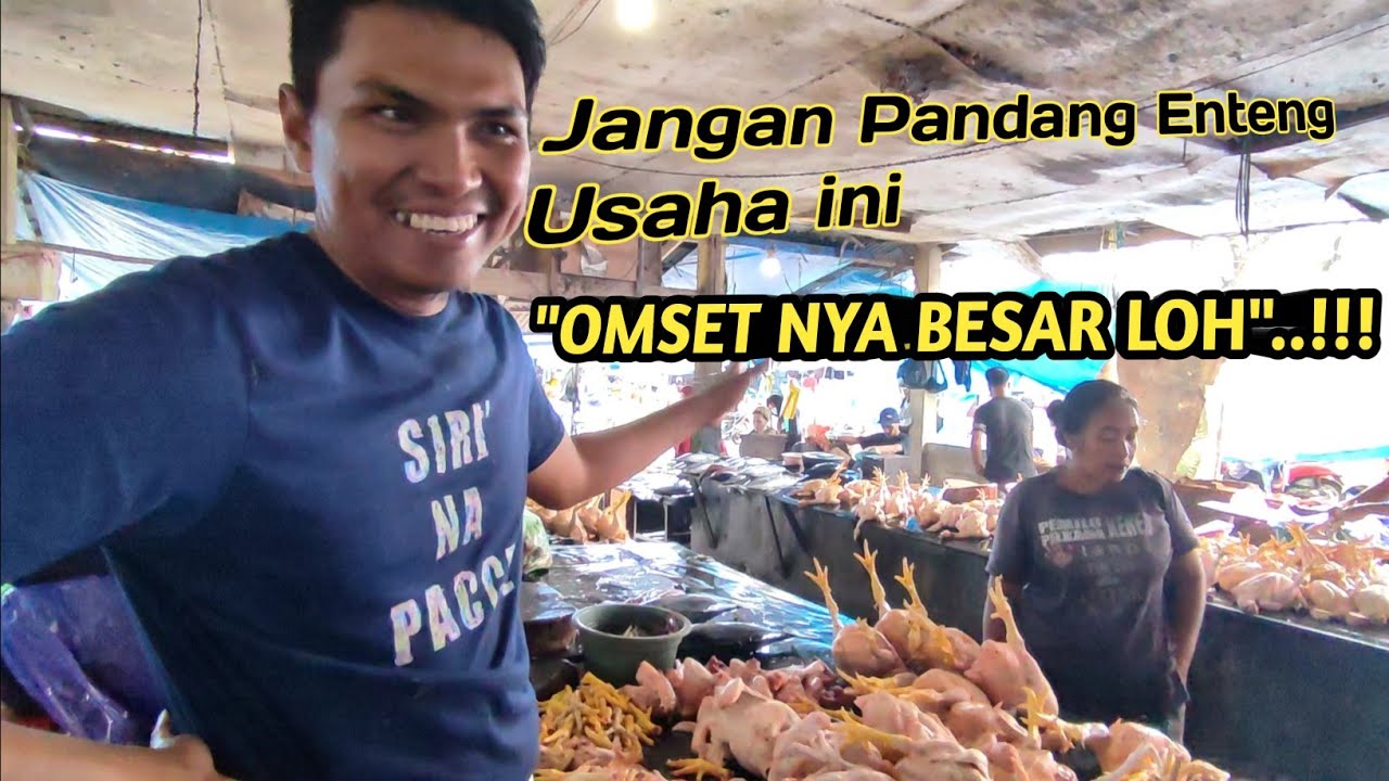 Usaha Ayam Potong | modal kecil untung besar