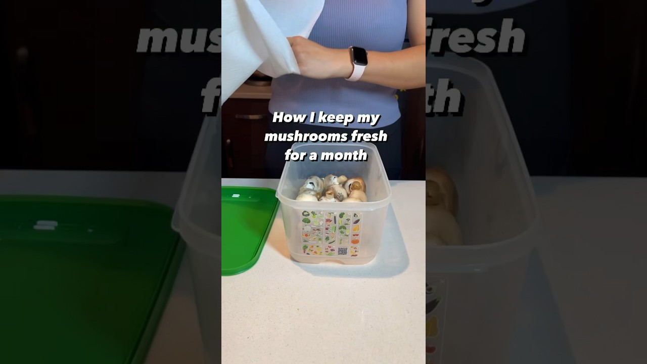 How to keep mushrooms fresh for a month #asmr #tupperware #kitchenhacks #mushrooms