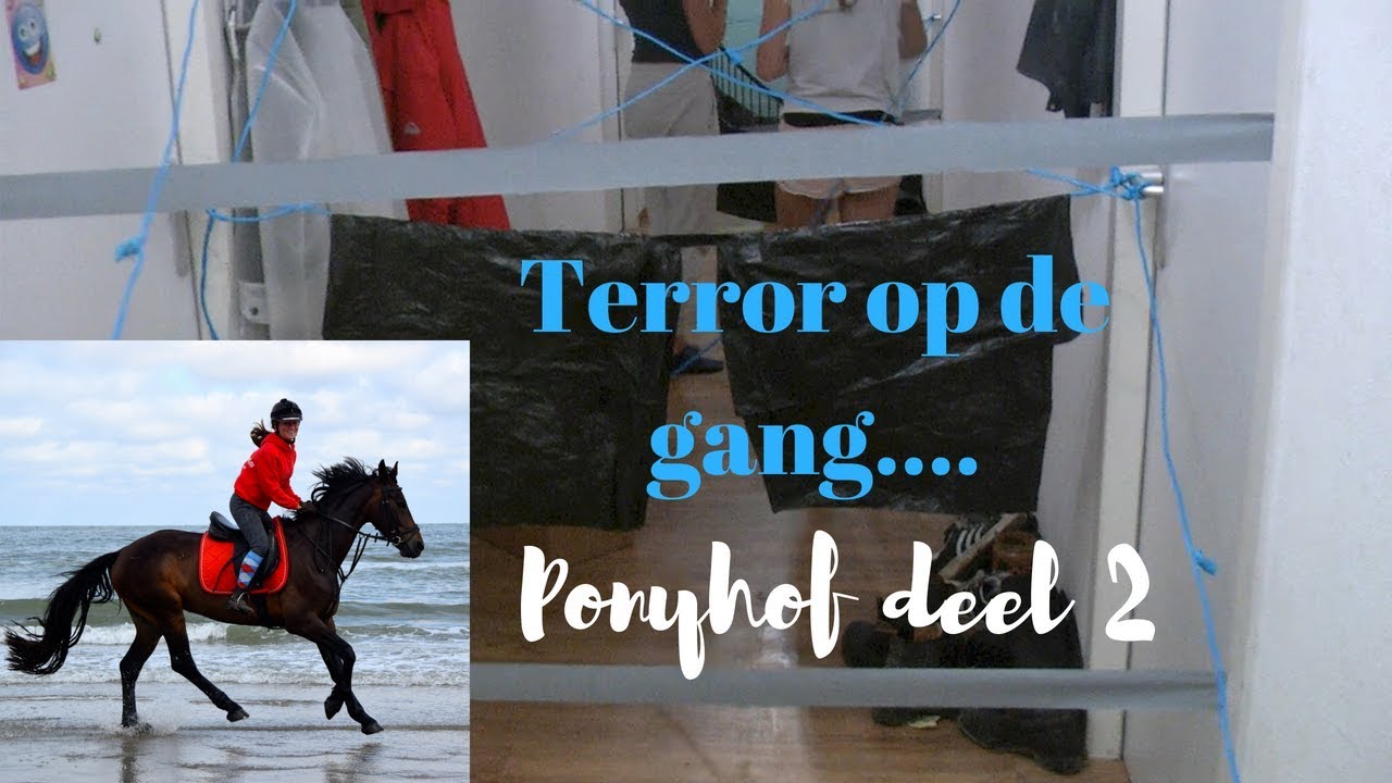 VLOG #13 Ponyhof deel 2: gang overhoop, strandrit en bonte avond! | CL Teamwork