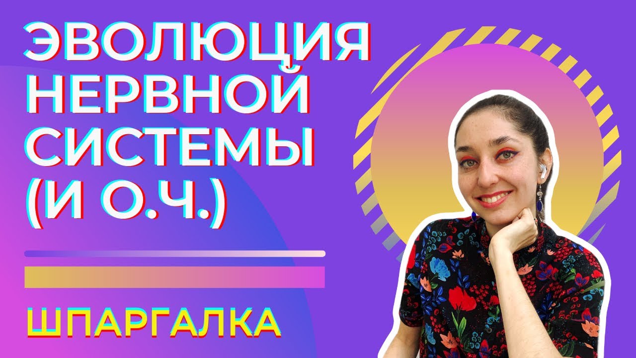 Нервная система — шпаргалка. ЦТ, ЕГЭ, ЗНО, ЕНТ