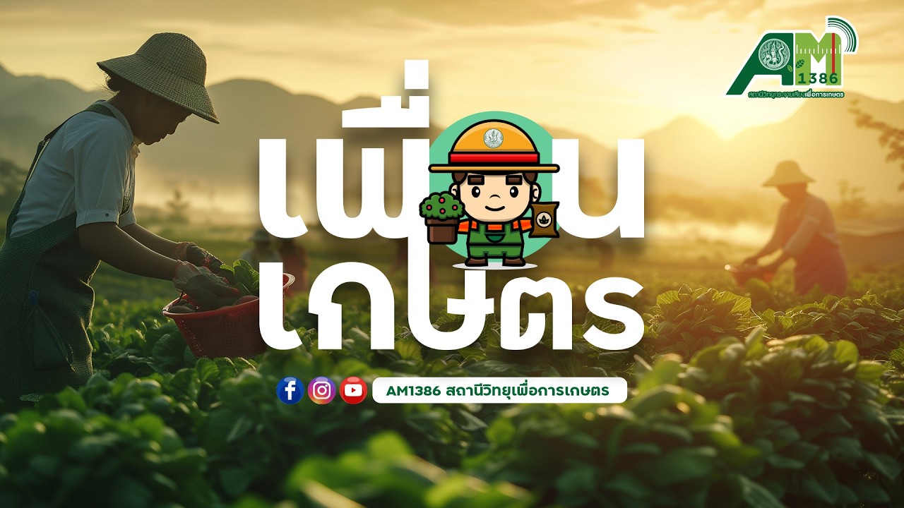 เพื่อนเกษตร : การสร้างแนวกันชน ผลผลิตอินทรีย์ปลอดภัย ห่างไกลการปนเปื้อน