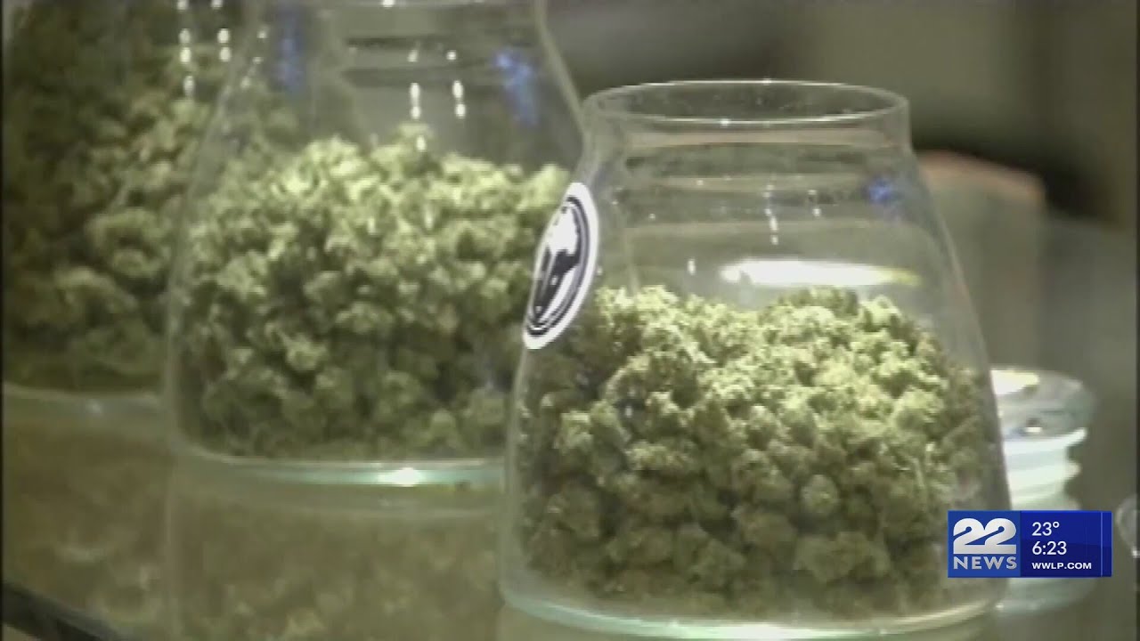 Ballot proposal seeks to reverse marijuana legalization in Massachusetts