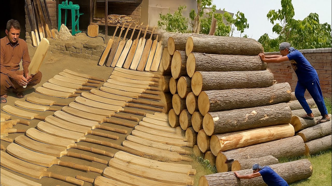 Cricket Bat Manufacturing Process | Mass Production
