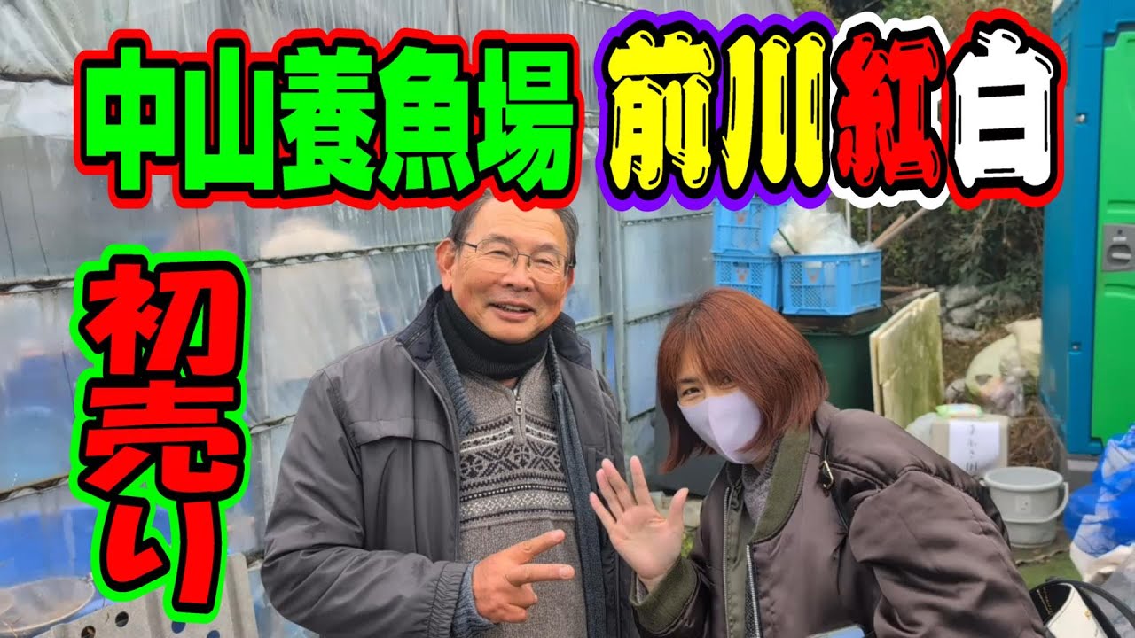 【汚池再生計画】『前川紅白』長崎県佐世保市、中山養魚場さんの初売りへ行ってきた‼#前川紅白＃中山養魚場#koi ＃錦鯉＃紅白＃koipond#koi