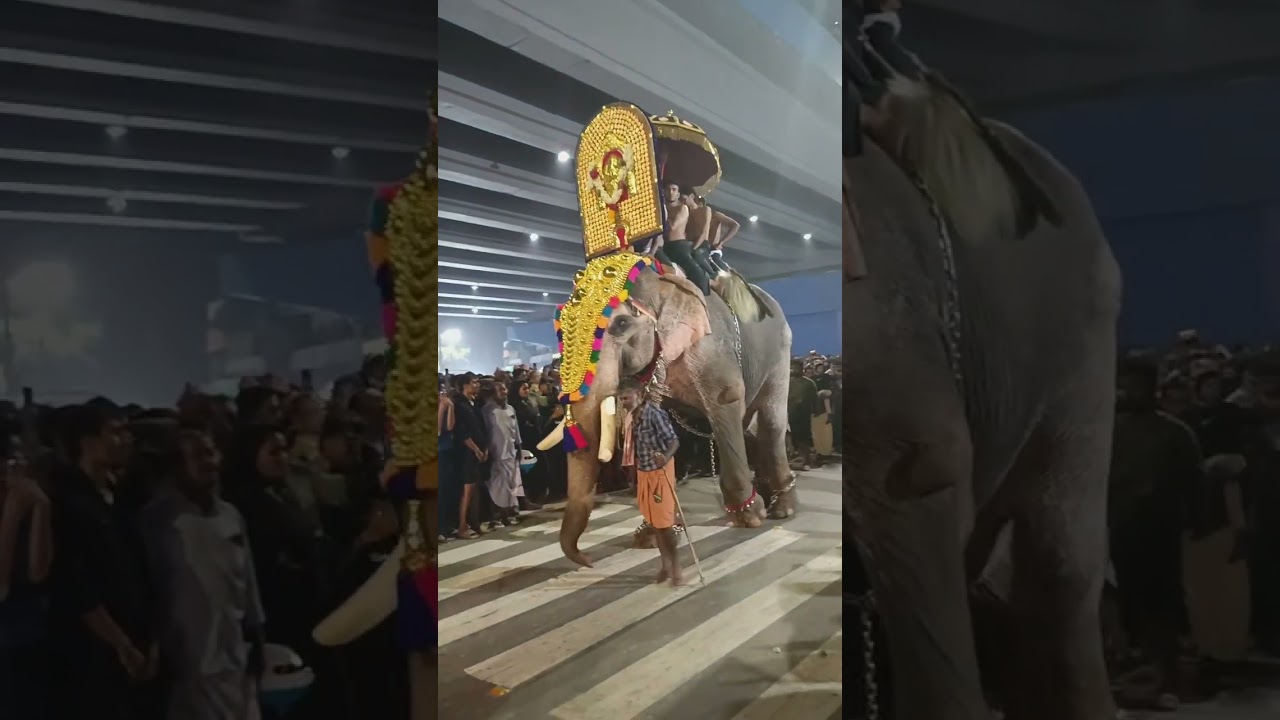 51 മത് പന്തീരാങ്കാവ് അയ്യപ്പ വിളക്ക് 