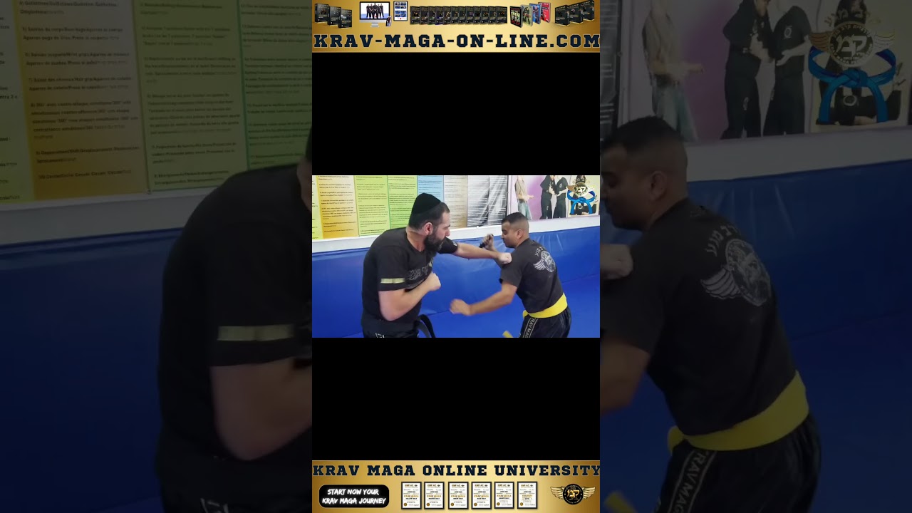 Krav Maga Online Blue  Belt Program