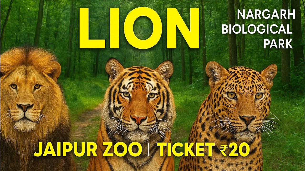 NAHARGARH BIOLOGICAL PARK JAIPUR | JAIPUR ZOO | LION TIGER LEOPARD SAFARI | JAIPUR KA CHIDIYAGHAR