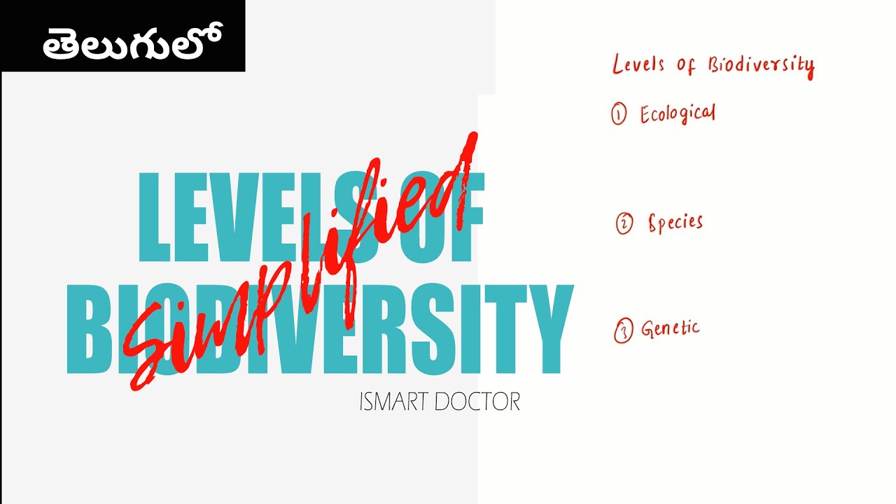Species Diversity in Telugu || SIMPLIFIED- Levels of Biodiversity