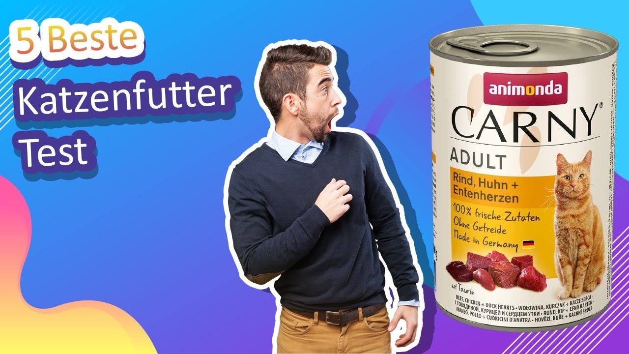 5 Beste Katzenfutter Test