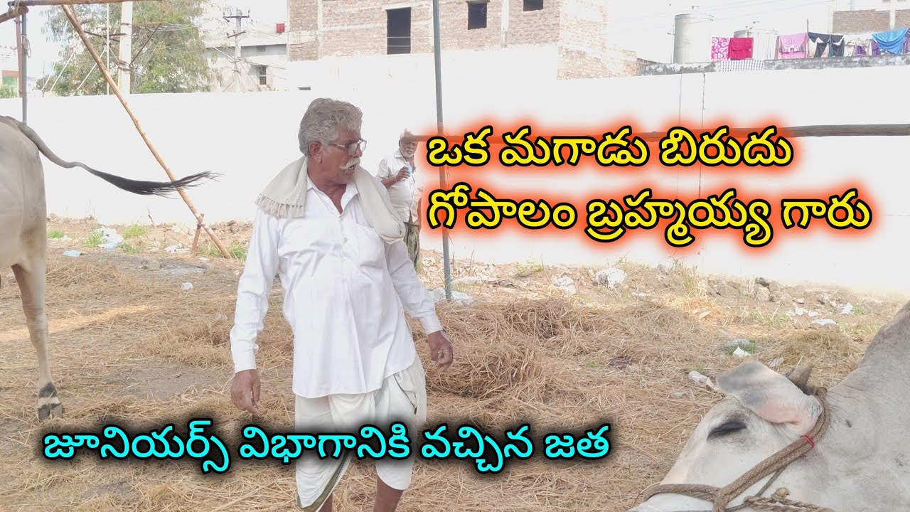 💥చిలకలూరిపేట జూనియర్ విభాగానికి వచ్చిన జత గోపాలం బ్రహ్మయ్య గారు