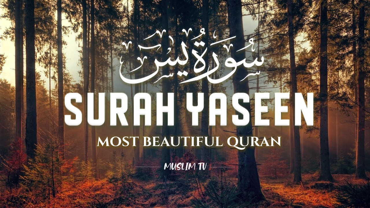 Surah Yaseen (سورة يس) | Heart-Touching & Relaxing Quran Recitation for Inner Healing #yasin
