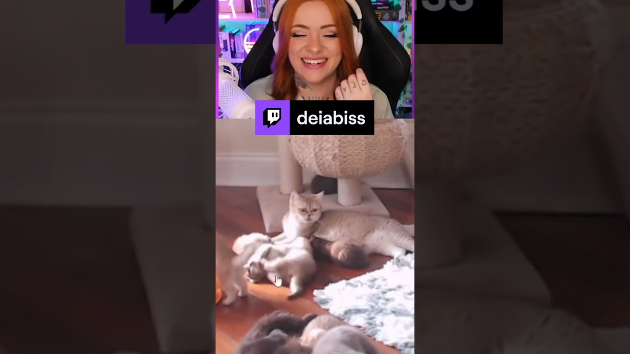 Um &Iacute;cone da Maternidade | deiabiss em #Twitch