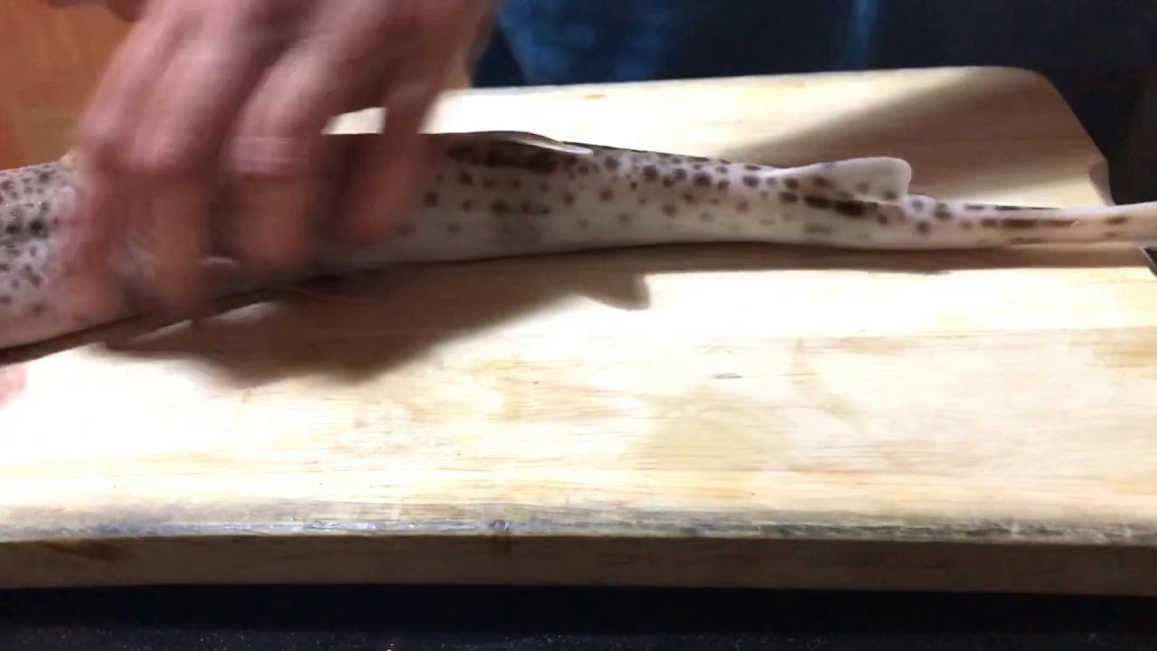 Como limpiar pintarroja
