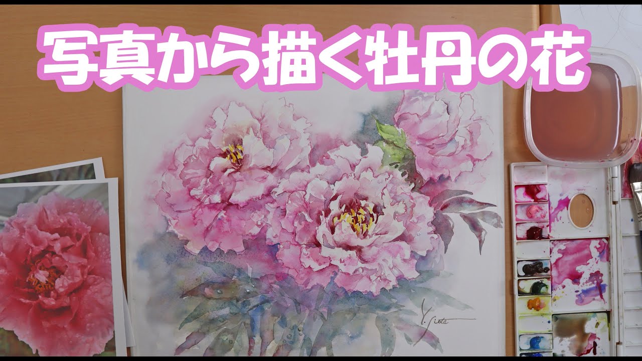 【透明水彩画】写真から描く牡丹の花
