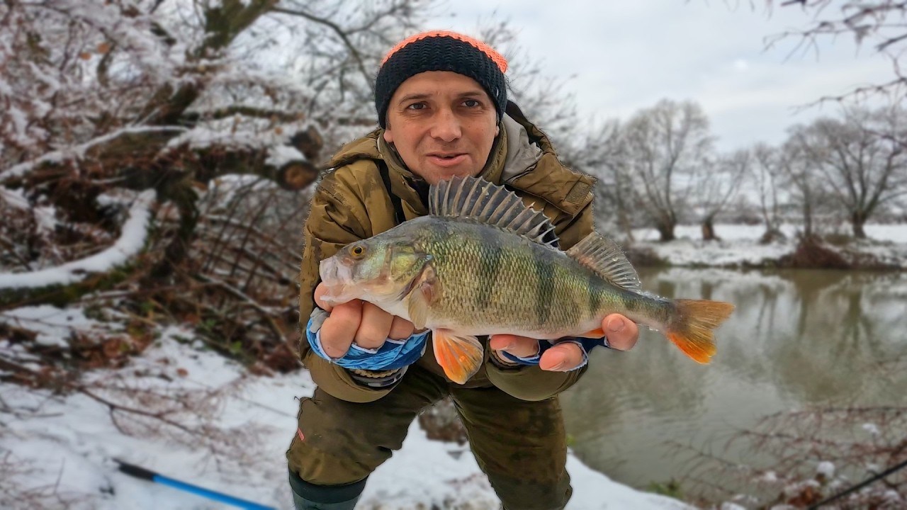 Mroźna Rzeka i Ultralight – Okonie w Zimowej Krainie