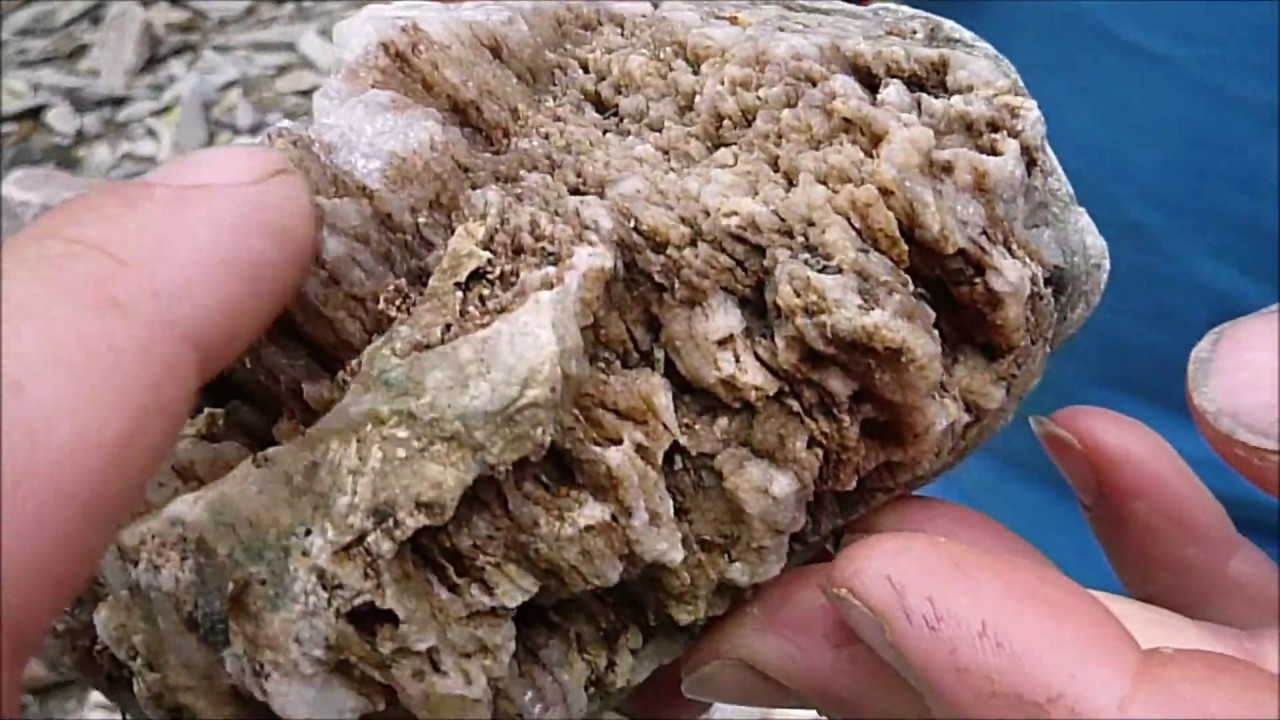kaituna gold workings
