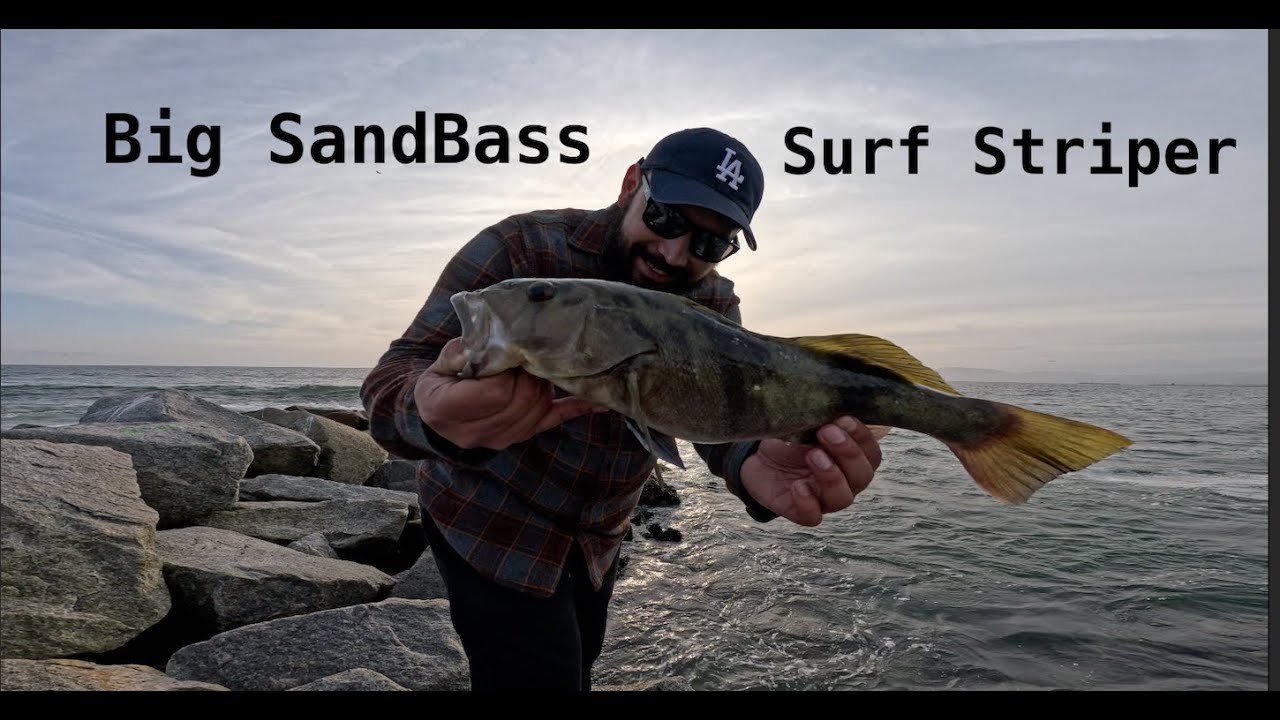 We Back, Surf Fishing for Striper in LA, Surf fishing for Sand Bass in Dockweiler State Beach.