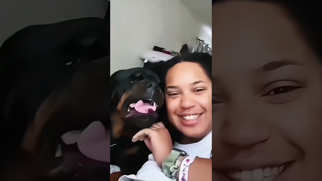 Funny Dog Reactions #Funny #Cute #Dog #FunnyVideos #Trending #ForYou