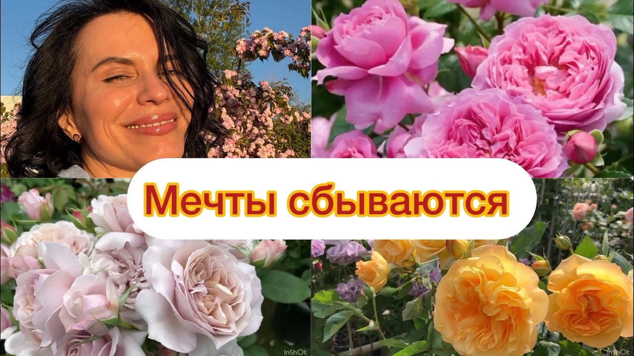 Супер Новинки японской селекции от оригинатора 