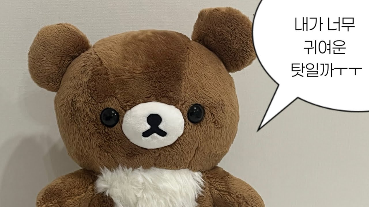 ~어느날 내 통장이 텅장이 되어버렸다~ 시골쥐의 치이카와 쿠지 탐방기 || 홍대•용산 || 실바니안 || 리락쿠마 || 치이카와
