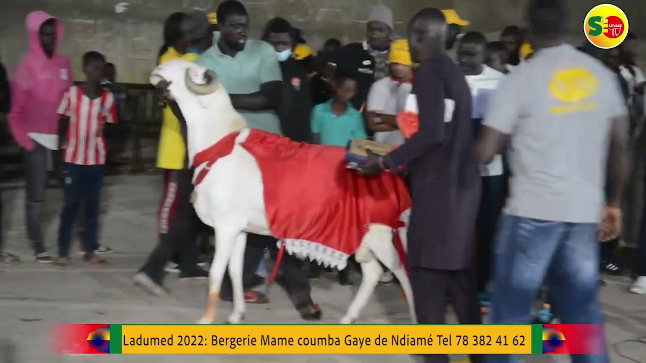 Ladoumed 2022: TAKK CI RIIP de Ndiamé Fall   à l'honneur avec une 3é place  au podium , chez les M A