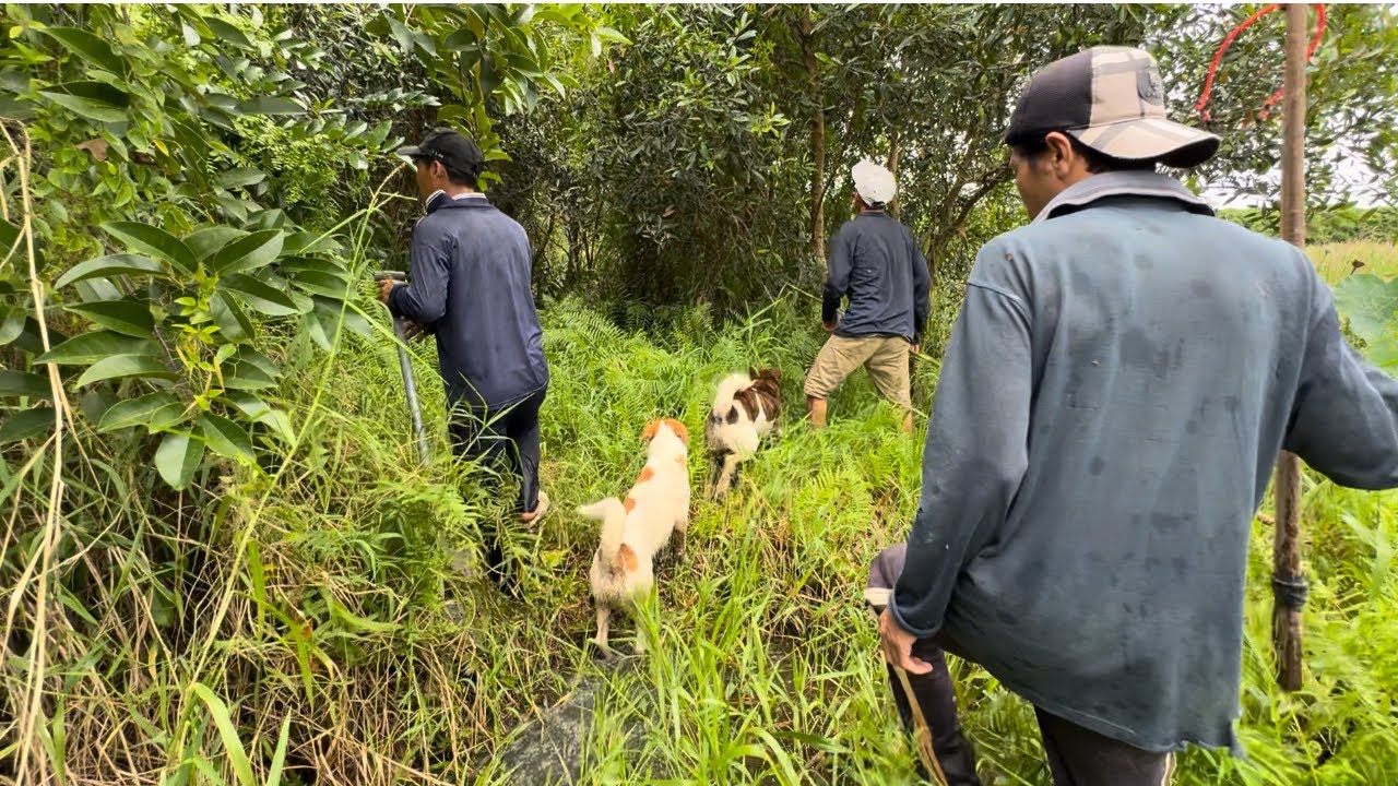 Trúng Đậm - Phát Hiện Động Vật Lạ Khi Đi Săn | Hunting | - TT2043