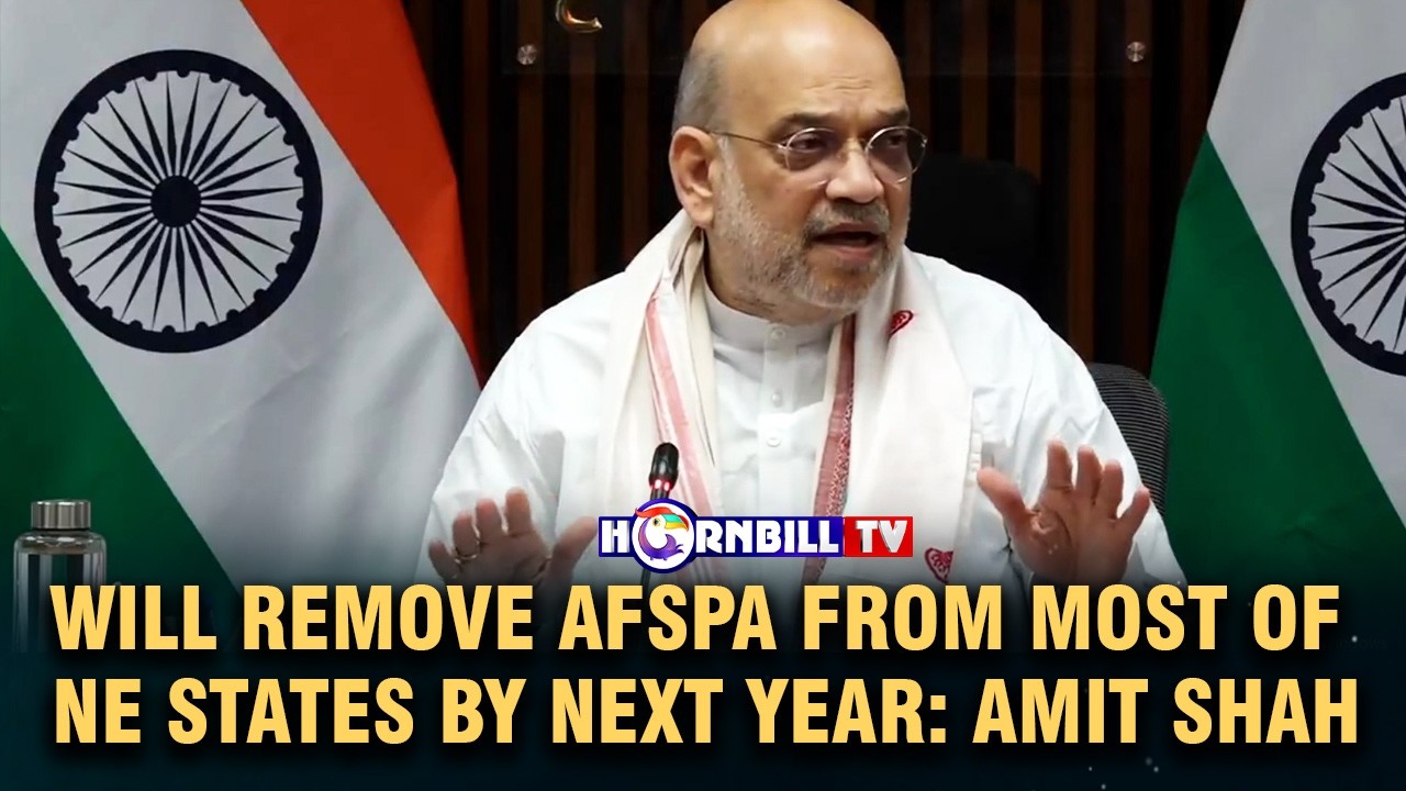 WILL REMOVE AFSPA FROM MOST OF NE STATES BY NEXT YEAR: AMIT SHAH