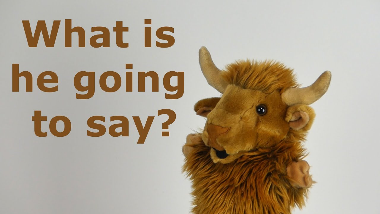 The Interrupting Cow | Mind Niggles