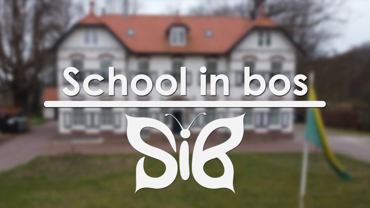 DJI Mini 2 | Drenthe, Westerveld, Wilhelminaoord, School In Bos, Voorjaar