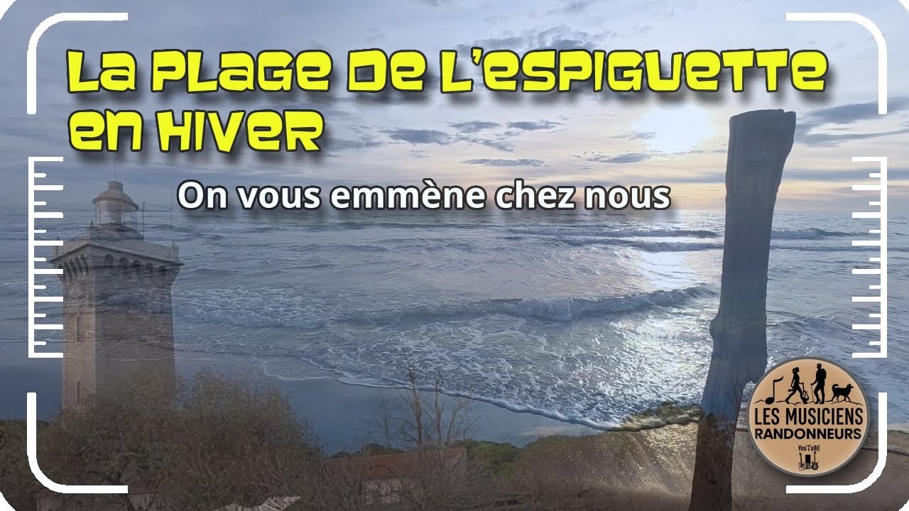 L’Espiguette en hiver : dunes, oiseaux et phare