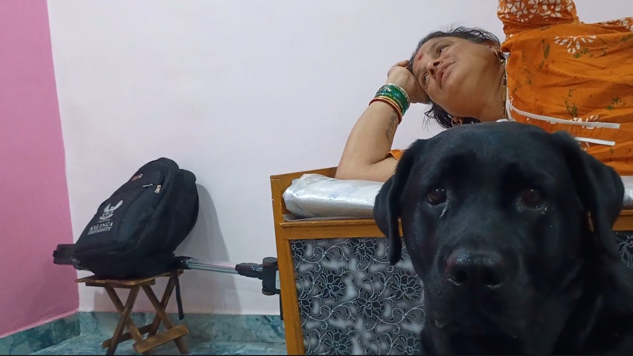 Hachi to maa free time