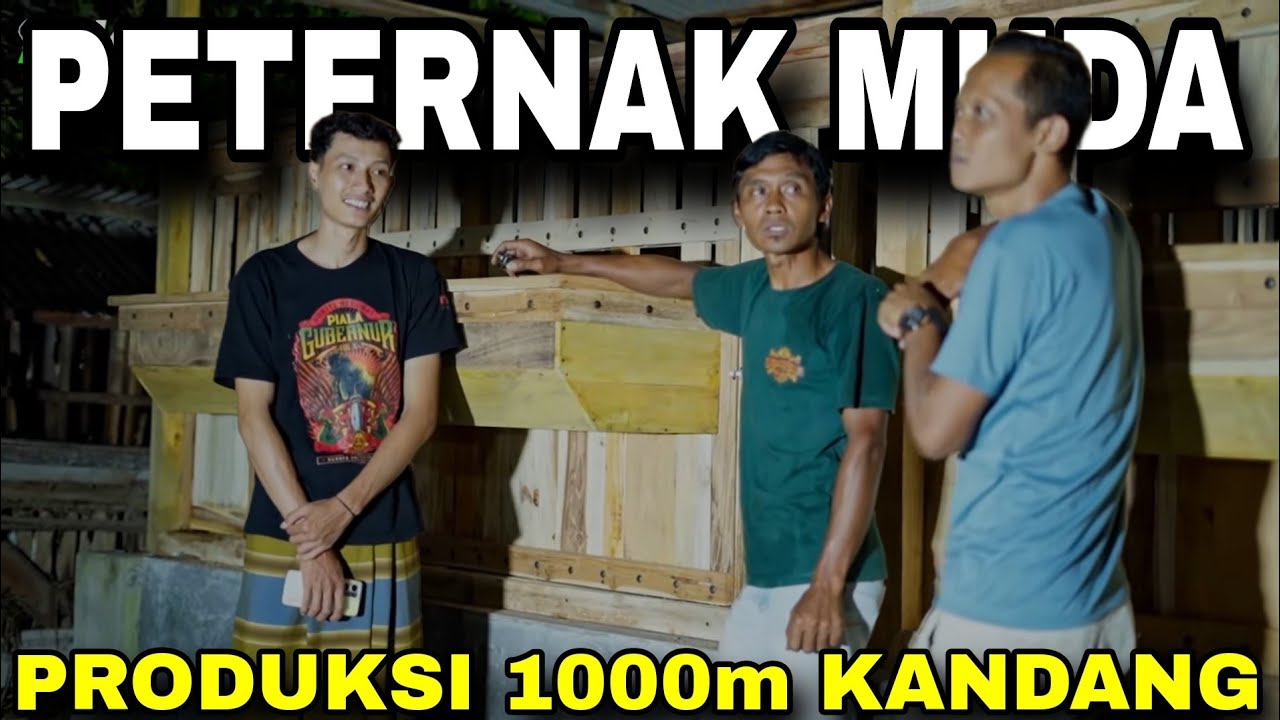 KANDANG BAKOH, ‼️MASIH ANTRI 1000 METER LAGI
