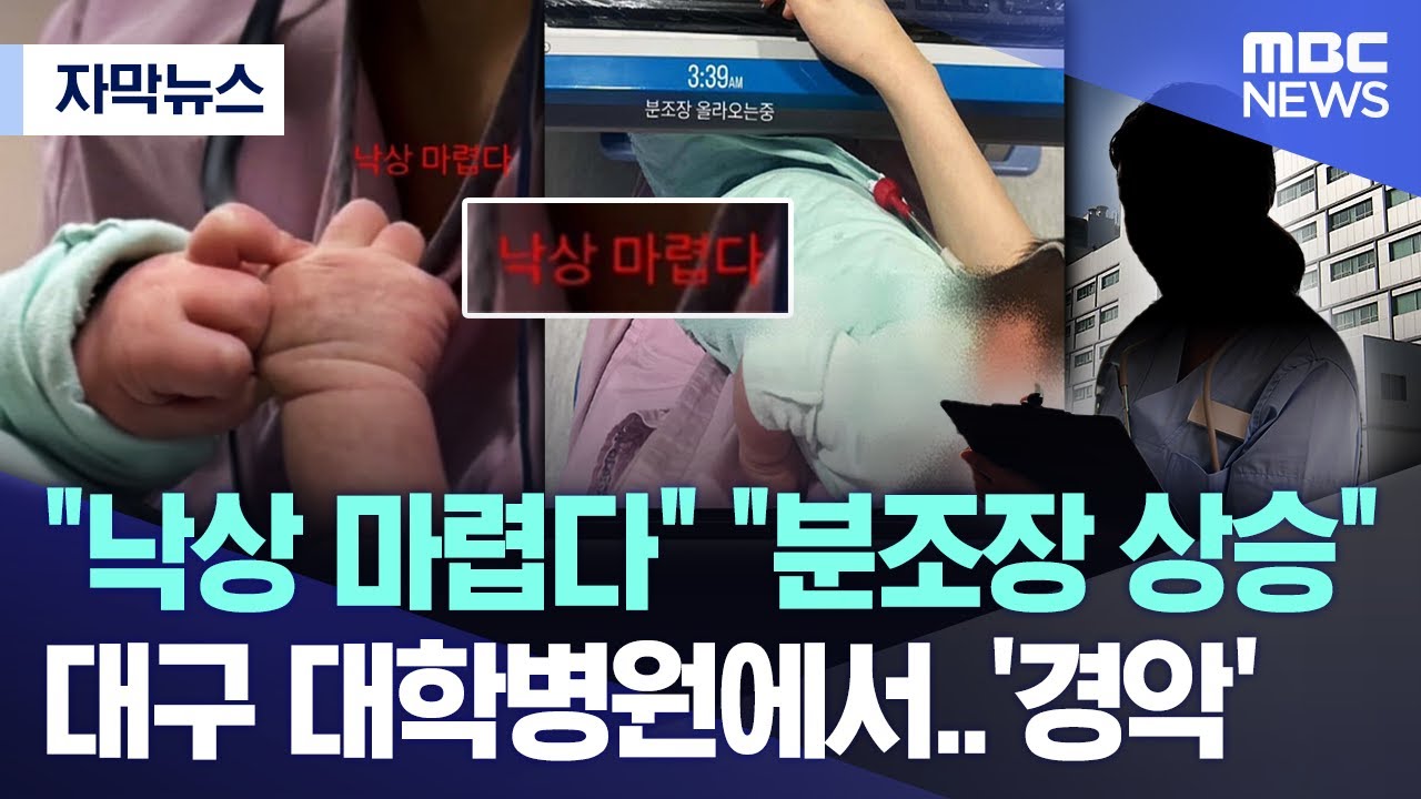 [자막뉴스] 