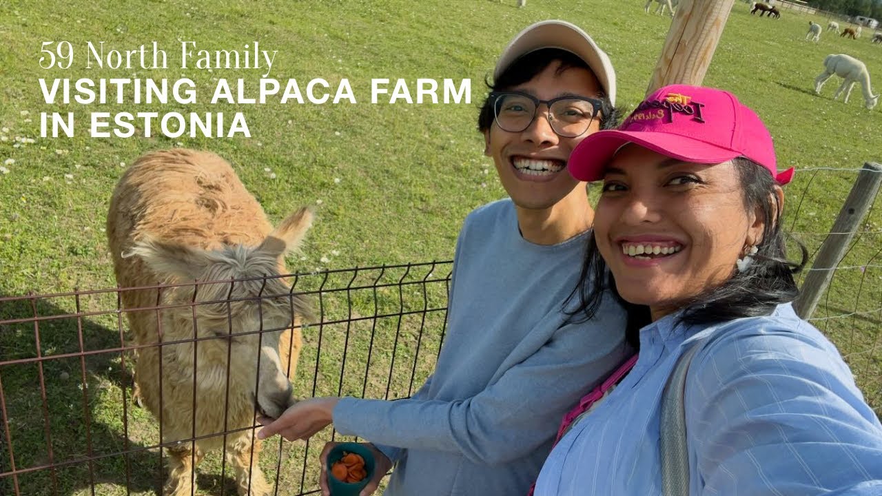 Visiting Alpaca Farm in Pärnu, Estonia