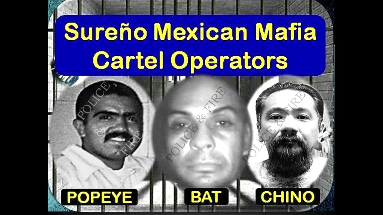 Бэт Маркес из Дель Соль — Суреньо/EME/Оператор картеля