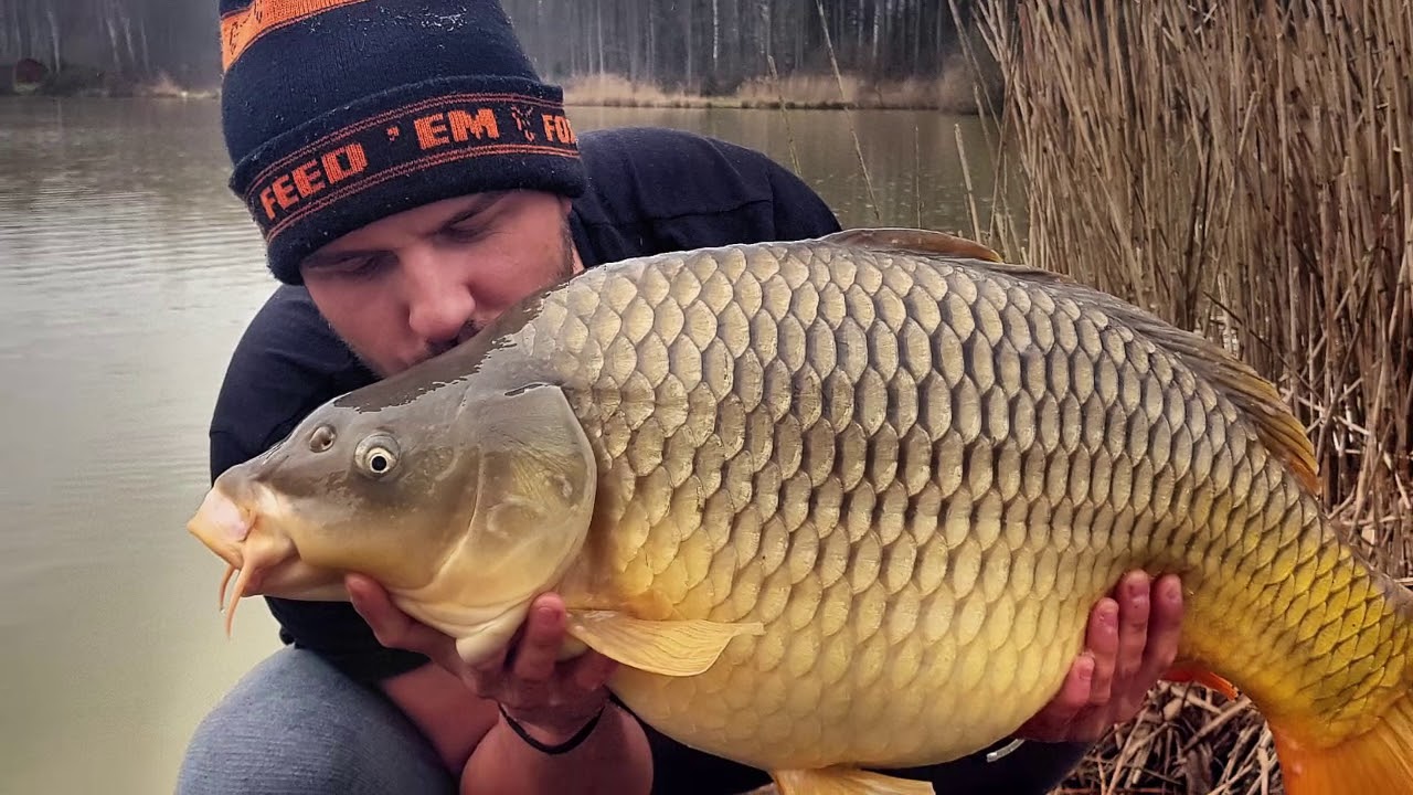 Bel Eaux - Belforet Mars 2018 ( Carp Fishing Romania )