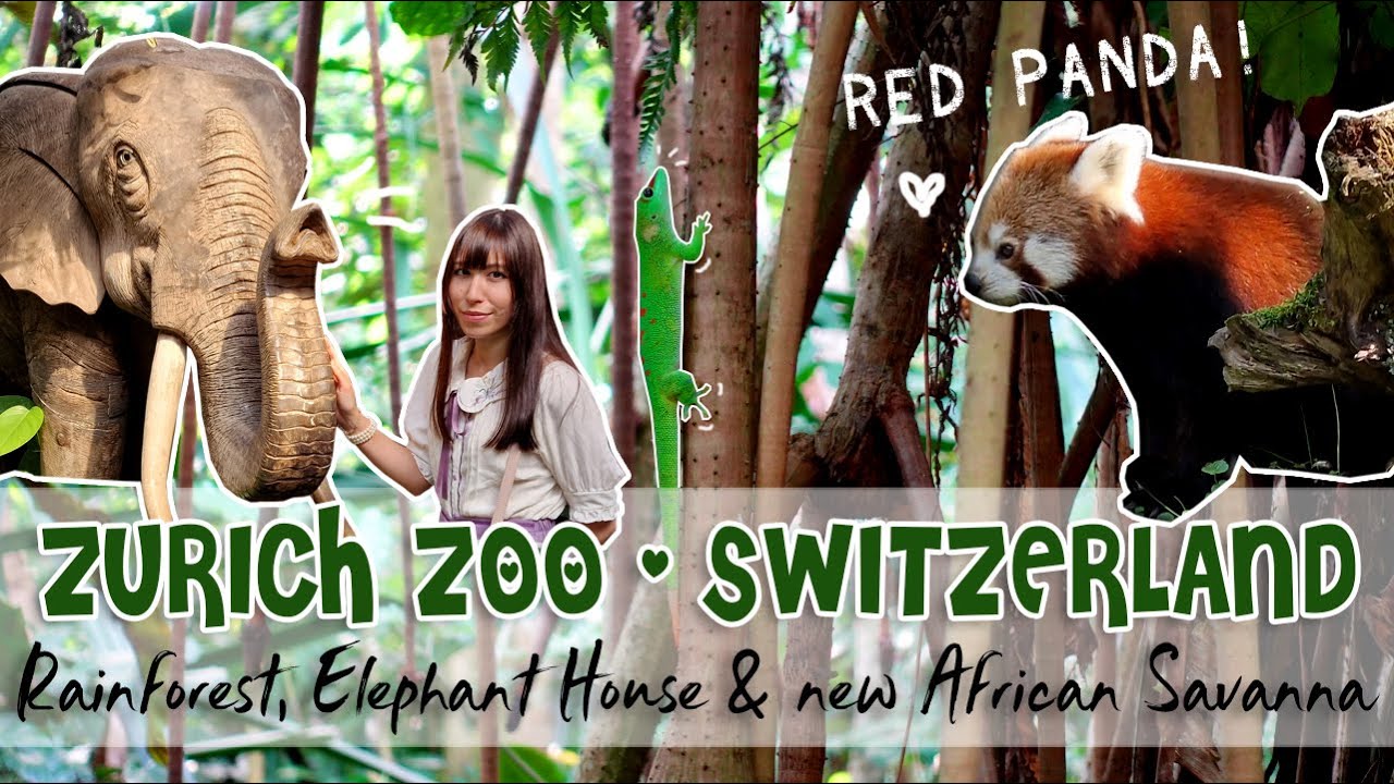 Zurich Zoo Switzerland 🇨🇭🐘🌿 Masoala Rainforest, Elephant House, African Savanna