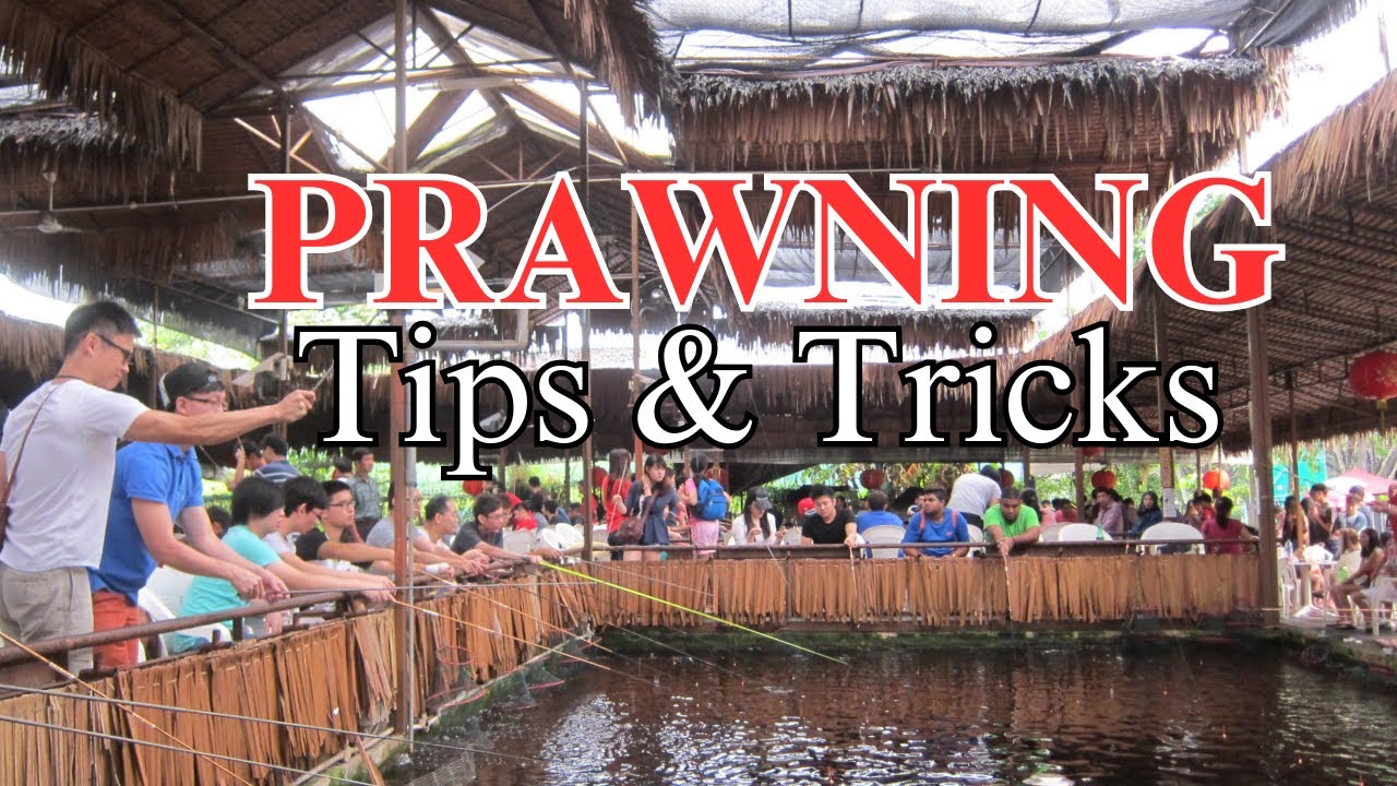 Singapore Prawning - Tips and Tricks